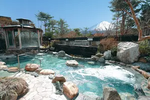 〜ひとり旅〜冬の山梨、富士山と露天風呂