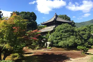 夏の京都・宿坊ステイで心を整える1泊2日