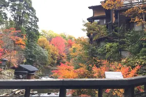ミシュランで二つ星☆☆日本が誇る熊本阿蘇の黒川温泉と周辺観光スポット。