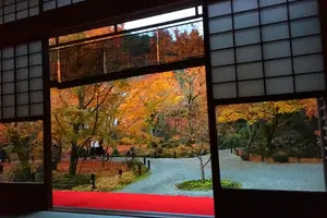 【秋の京都は裏切らない！】そうだ、京都行こう！紅葉編