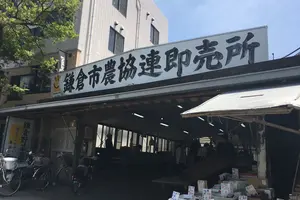 気ままお散歩旅 in 鎌倉〜北鎌倉