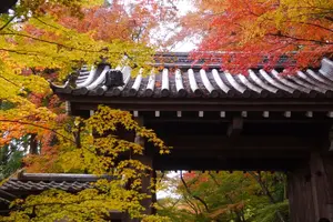 秋の京都を大満喫しよう[京都1泊2日♡]
