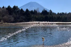 ダイヤモンド富士の富士五湖周遊と新屋山神社で初詣！