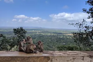 感動の絶景！スリランカの世界遺産・古都シギリヤで最高のリフレッシュ