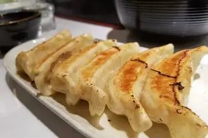 🥟餃子食べまくり　宇都宮編