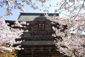 魅惑の鎌倉 寺巡りコース(不定期更新)