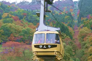 【埼玉県】夏に楽しみたいアクティビティを長瀞町で！ラインくだりで自然を体感し地元グルメを満喫しよう！