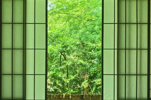 🌿 叡電で巡る 新緑の京都ひとり旅 🌿