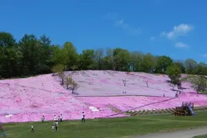 【北海道】ホリデースタッフが次に注目している遠軽エリアの緑豊かな自然と歴史が融合する癒しの旅プラン