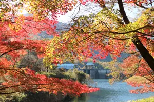 【京都・美山】美山の秋色を求めて