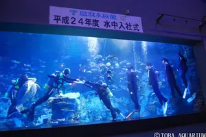 伊勢志摩 個性派水族館 & 美味めぐり