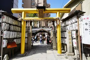 【京都】金運UP！？京都穴場のおすすめ神社♪