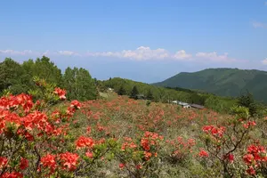信州須坂６月の"花いっぱい"おでかけプラン