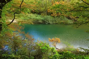 6月の秋田で自然を満喫🍃