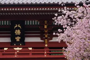 歴史と情緒あふれる春の鎌倉・江ノ島巡り