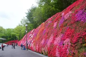 5月豊田へお出かけ