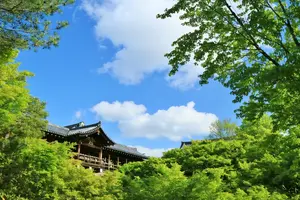 春の京都青もみじ巡り