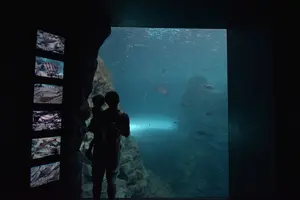 新潟上越市立の水族館「うみがたり」を含む子ども連れ向けおでかけプラン！