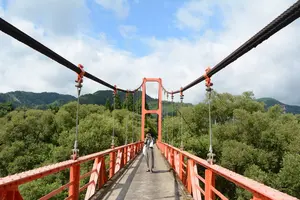 Photogenic spots in Miyama - "colorful bridges"