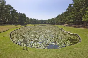 宮崎県は観光資源の宝庫！宮崎県の魅力を発見しよう！