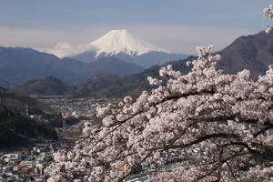新宿から120分で富士山絶景スポット、プチ登山。