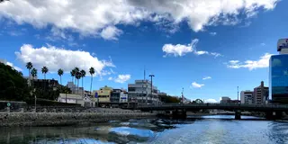 Amazing!徳島