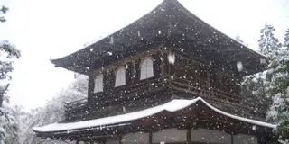 絶景かな！絶景かな！雪が舞い降る京のまち