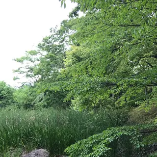 泉谷公園