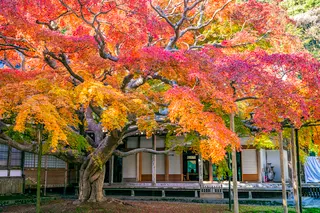 雷山千如寺大悲王院