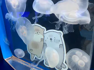 しながわ水族館