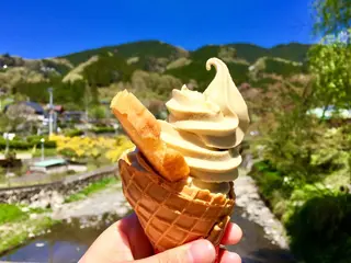 道の駅 果樹公園あしがくぼ