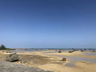 佐和田の浜