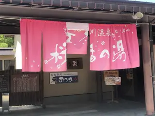 ひだ荘川温泉 桜香の湯