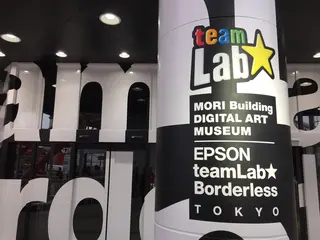 【閉業】森ビルデジタルアートミュージアム：エプソン チームラボボーダレス（MORI Building Digital Art Museum: EPSON teamLab Borderless）