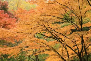 円覚寺