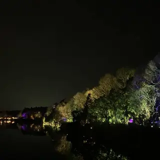 チームラボ  森と湖の光の祭