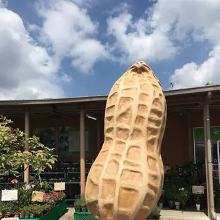 道の駅 木更津うまくたの里