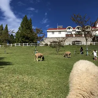 神戸市立六甲山牧場