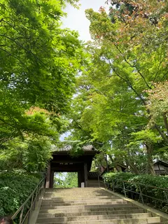 円覚寺 総門