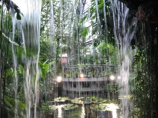 東京都夢の島熱帯植物館