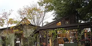 奈良で大人のカフェ＆雑貨巡り