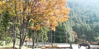 群馬県川場村の秋を満喫