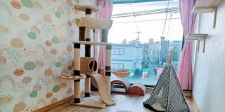 猫専用個室ペットホテル『ねこべや羽田空港店』