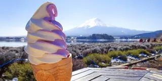 【富士山の見えるカフェ】絶景テラスでコーヒータイムを。ドライブで寄りたい周辺の観光スポットもご紹介！
