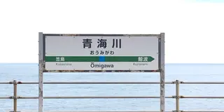 つい、電車から降りたくなってしまう❗️ 日本海に一番近い駅の絶景を見に行って来た❗️【青海川駅】