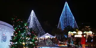 クリスマスまであと４４日、シングルベルとさようなら～。ＩＮ　香川