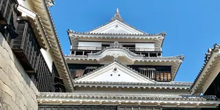 松山マストスポット満載📌✨1日でめぐる松山歴史と芸術満喫プラン🎶✨