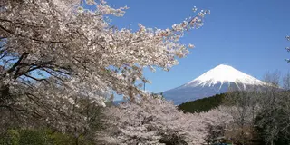 富士山満喫
