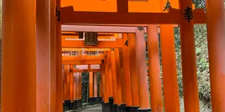 2022年こそ行きたい！京都のSNS映えスポット18選✨