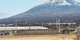 春の静岡旅　新幹線と富士山を鑑賞　そして富士宮焼きそばをいただきました。